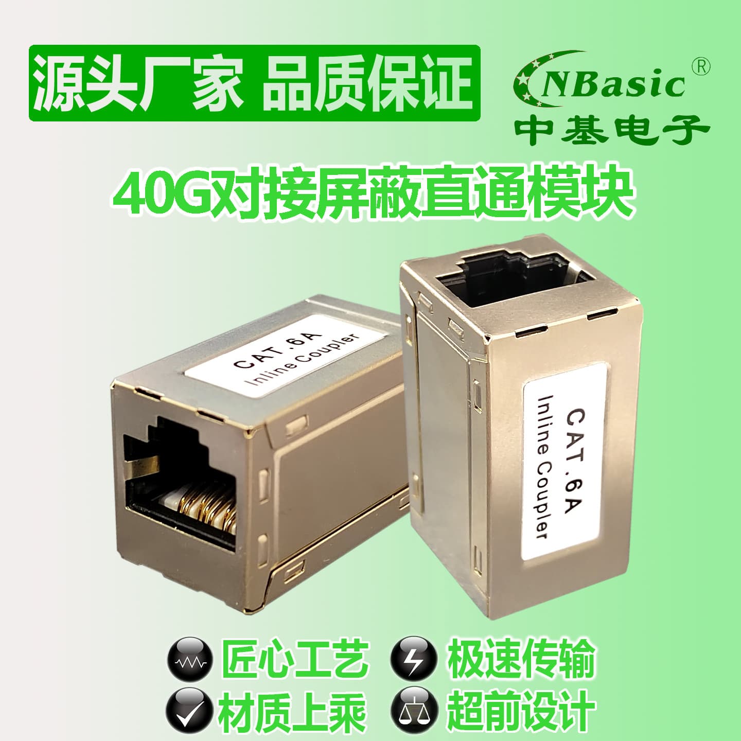 10G Cat6A/Cat6/Cat5e Shielded Direct-Connect STP/FTP RJ45 Network Module