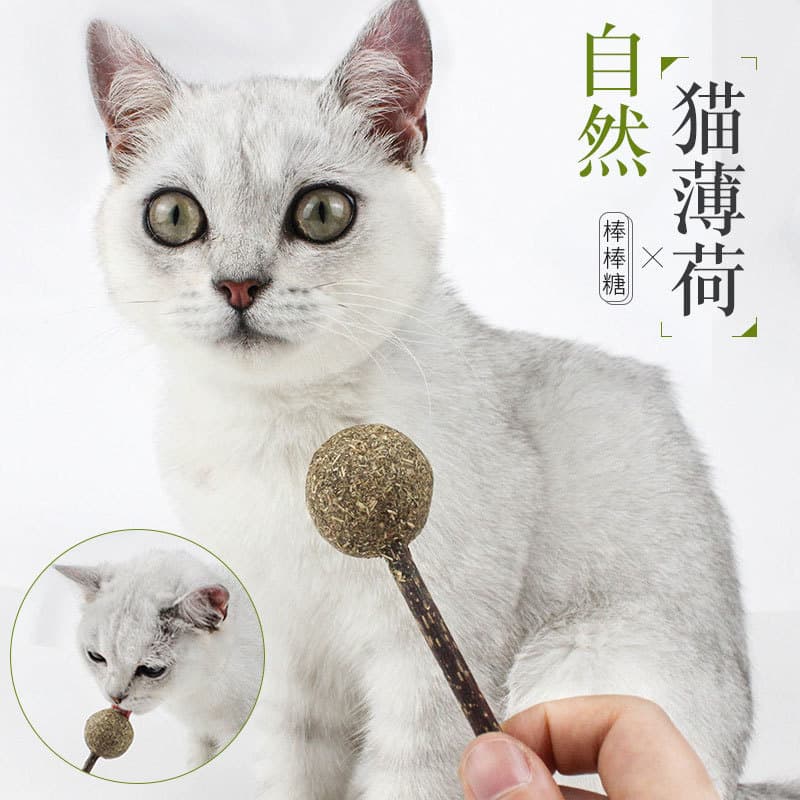 Manufacturer of Cat Toys, Catnip Balls, Cat Teasing Sticks, Teething Sticks, Matatabi Lollipops, Cat Snacks 6
