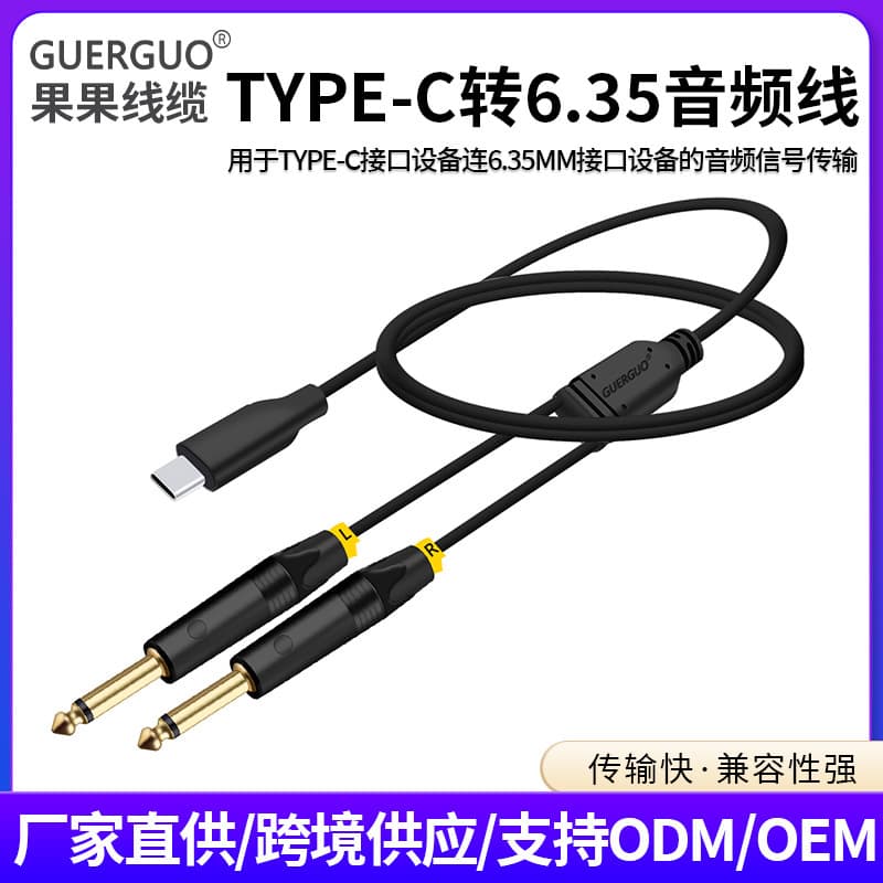 Type-C Male to Dual 6.35mm Audio Cable for Guitar Tuning, Phone Speaker, Amplifier Audio Adapter