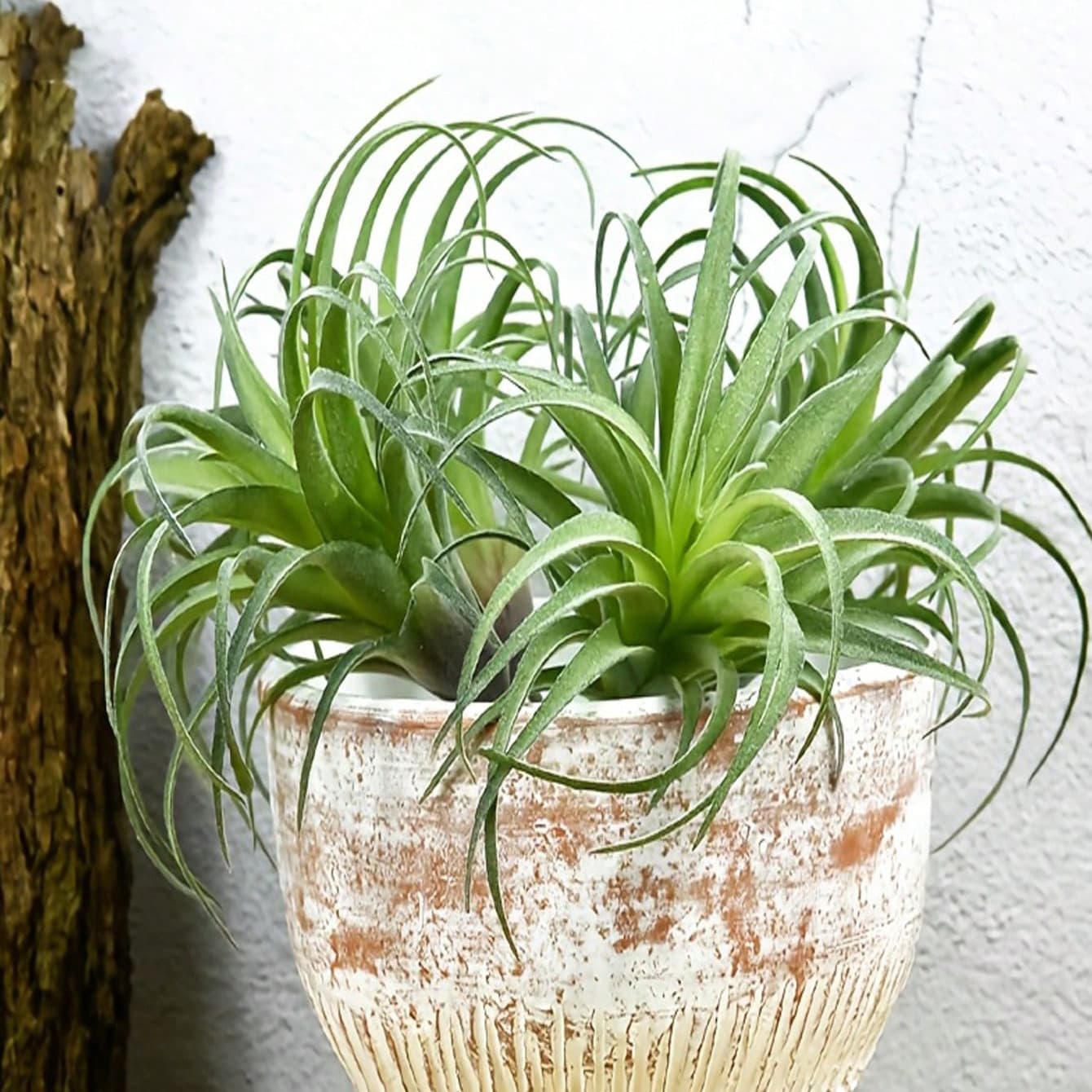 Amazon Artificial Succulent Air Plant Pineapple Leaf Flower Head Small Home Decoration Ornament