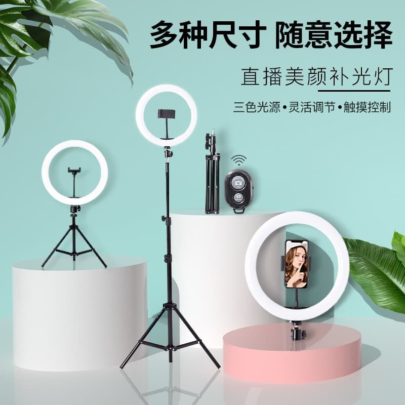 10-inch Fill Light Source Manufacturer LED Internet-Famous Live Streaming Photography Light, Phone Desktop Selfie Beauty Kit
