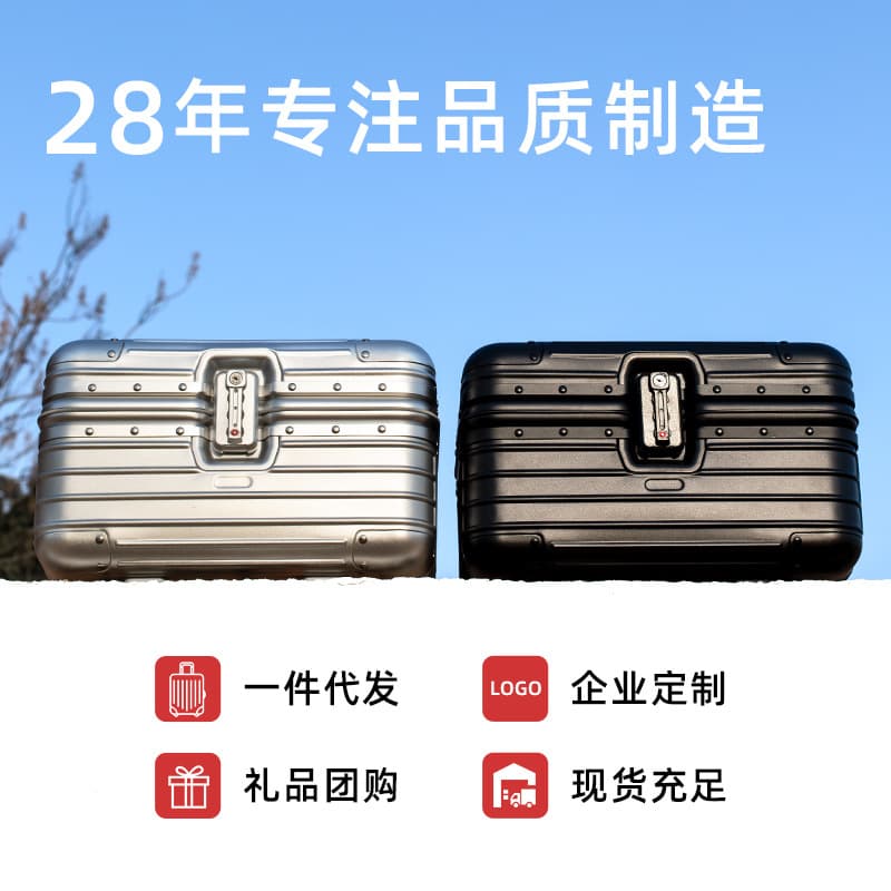 Large Capacity Aluminum-Magnesium Alloy Cosmetic Case Trolley Suitcase 12-Inch Password Luggage Tool Case Tattoo Box