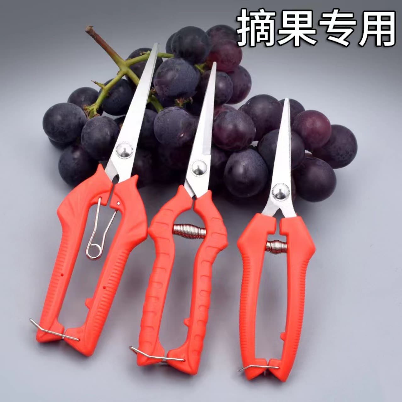 Factory direct sales of stainless steel fruit picking shears for grapes, peppers, gardens, and fruit trees.