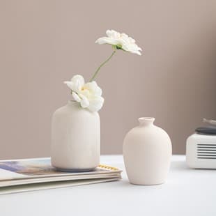 Ins-Style European American Plain White Vase, Living Room Flower Arrangement, Table Decoration Small Vase, High-End Ceramic Flower Vessel Decoration