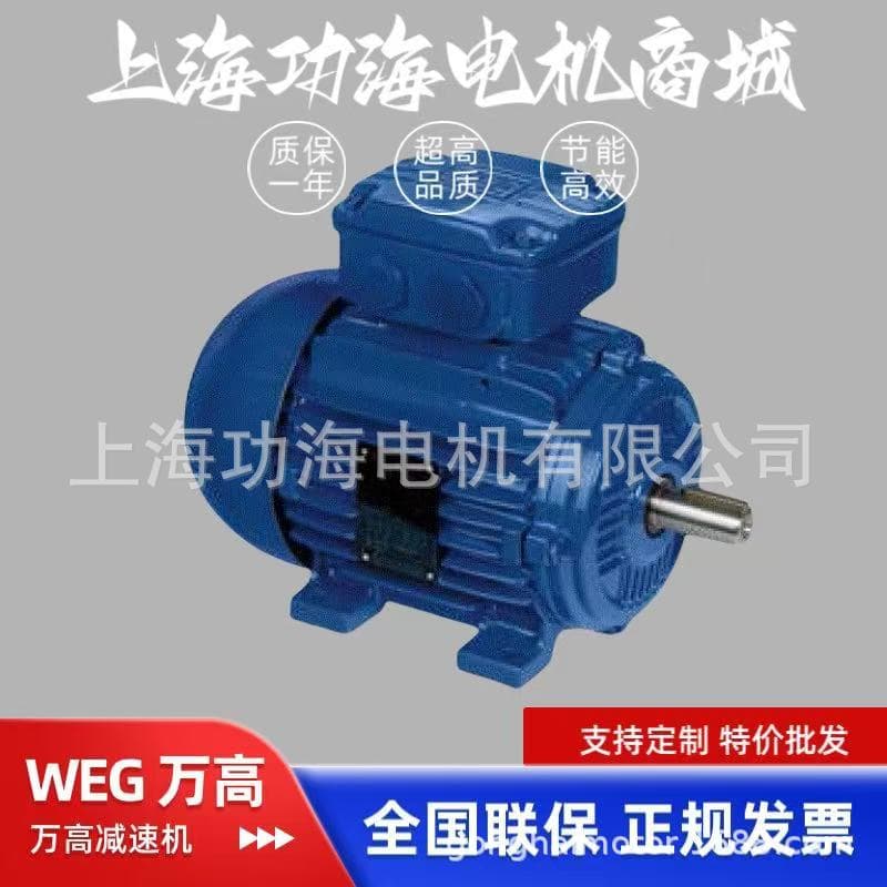 WEG Explosion-Proof Motor, Three-Phase Asynchronous Motor, EXDII BT4 Explosion-Proof