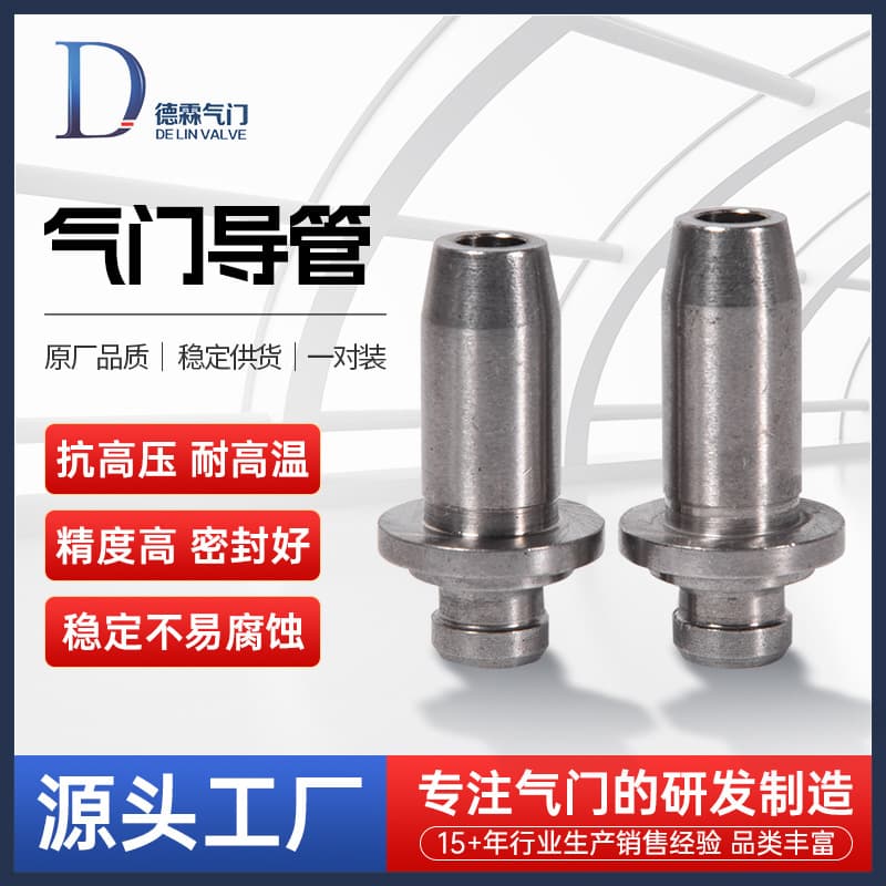 Motorcycle Valve Guide Intake and Exhaust Valve Guide Engine Parts OEM Quality Direct Factory Sales
