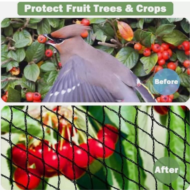 Small Packaged Anti-Bird Net for Export to Europe