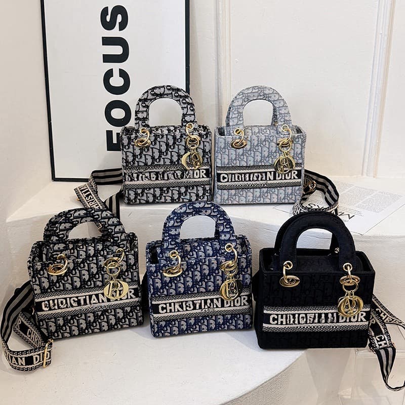 Textured Small Bag for Women 2024 New Trendy Versatile Crossbody Square Bag Niche Design Handheld Lady Dior Style Bag