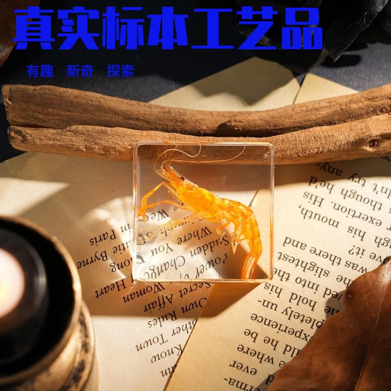 Amber Insect Specimen Realistic 3D Insect Resin Amber Animal Specimen Desktop Ornament Kindergarten Teaching