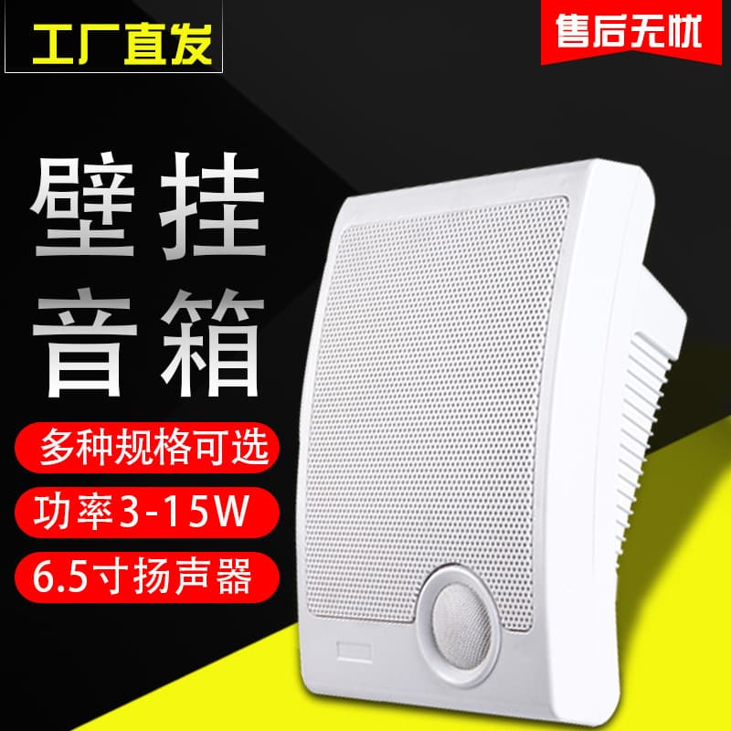 Wall-mounted Public Broadcast Speaker for Fire Alarms, Background Music, and School/Conference Use