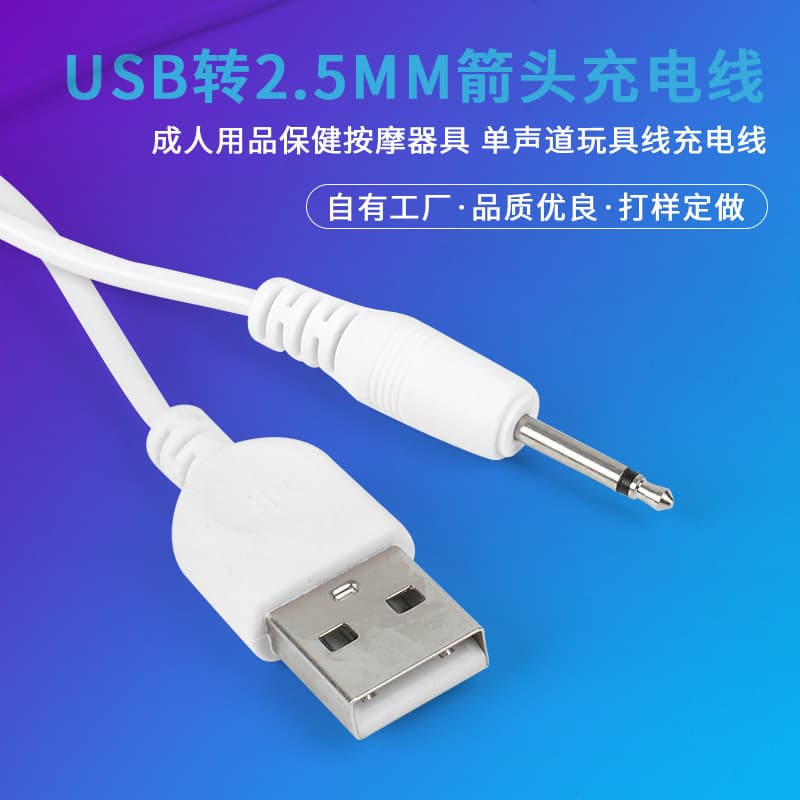 1m White USB to 2.5mm Mono Arrow Adult Toy Charging Cable DC Black Power Cord Custom