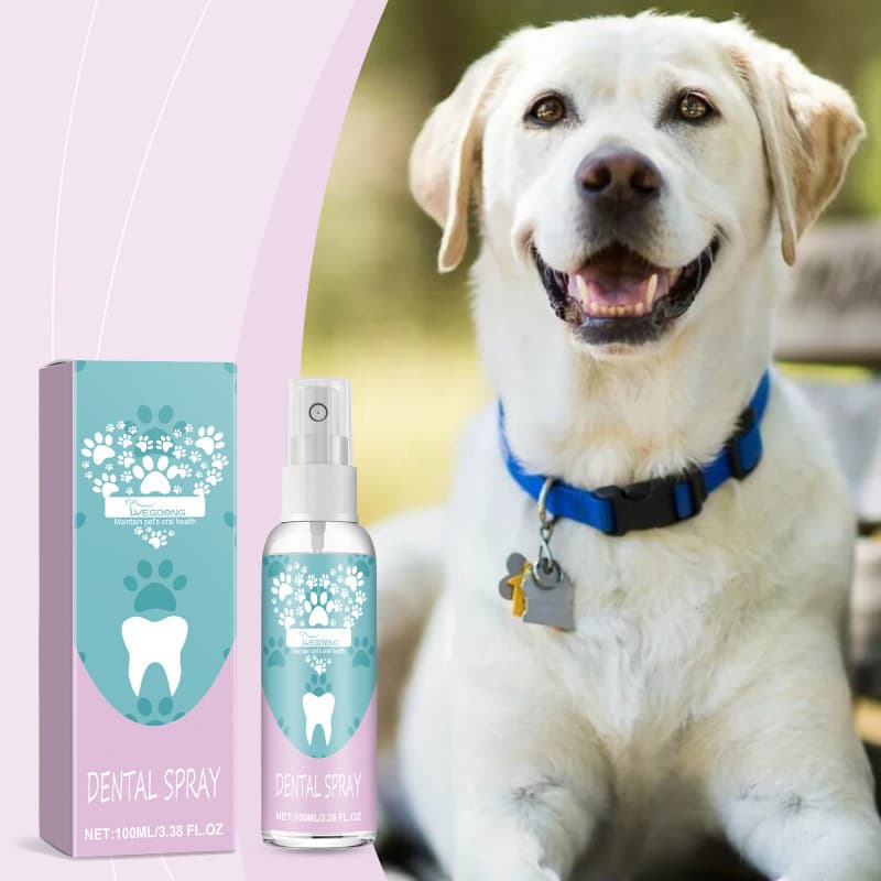 Yegbong Pet Dental Spray: Gentle cleaning and care for pets' mouths and teeth, removing stains and yellowing.