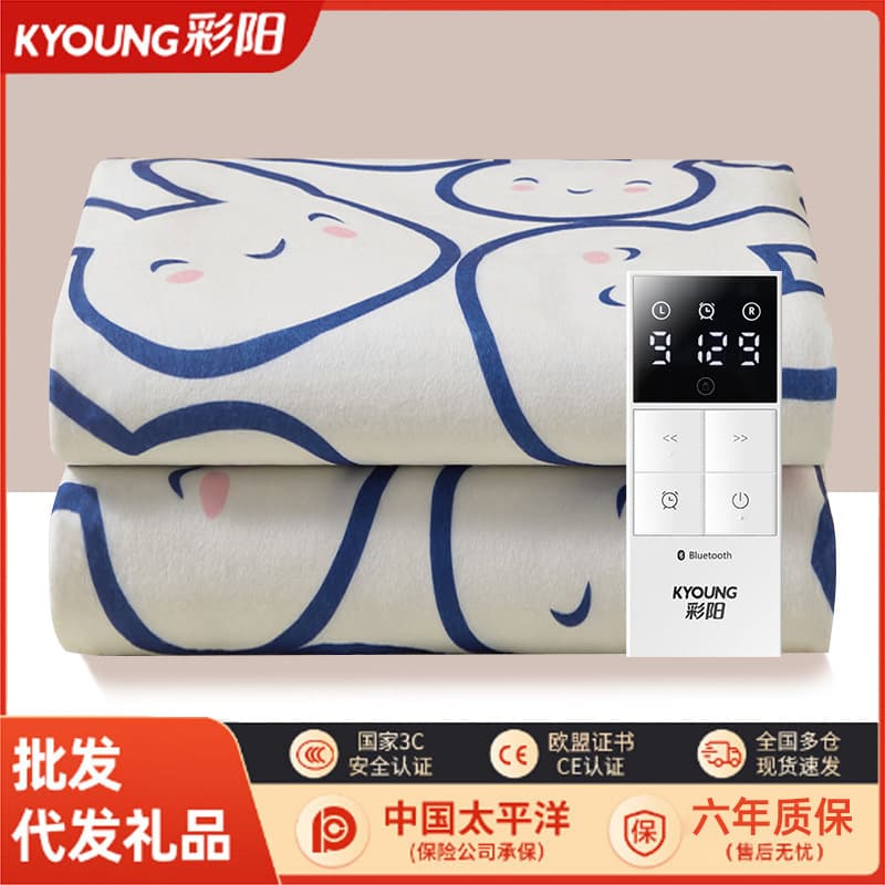 Caiyang Electric Blanket Single Person Adjustable Temperature Electric Heating Pad Dormitory Blanket Double Blanket Wholesale Distribution Dormitory Special