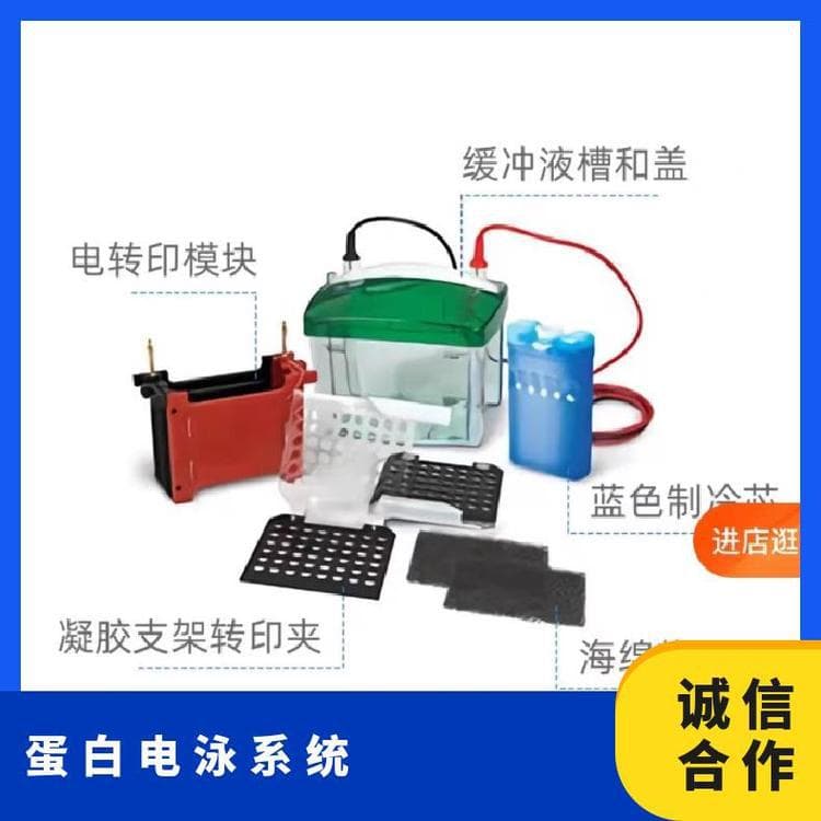 Bio-Rad Electrophoresis Blotting System 1658033 Vertical Apparatus Gel Number 1-4 USA Lainai Default Item