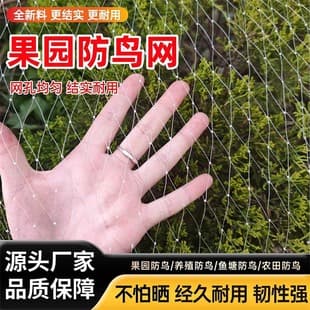 Bird Netting for Orchard, Greenhouse, Balcony, Cherry Tree, Grape, Fish Pond - Nylon Mesh