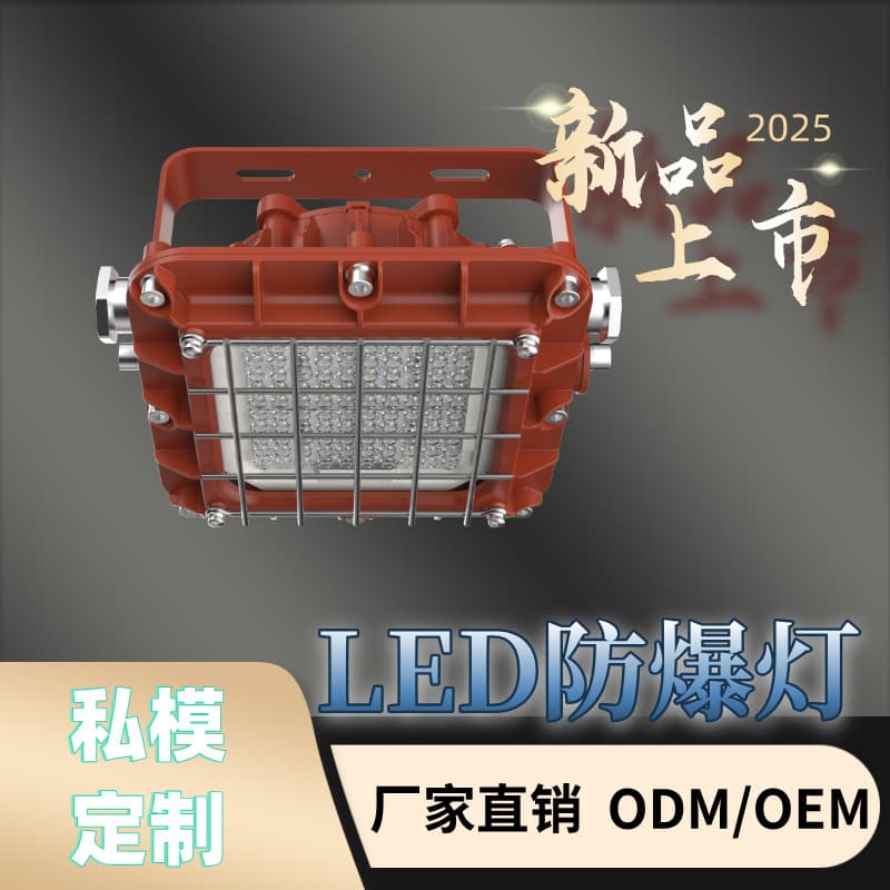 LED Explosion-Proof Light for Mining Underground Roadway, Platform Light, Coal Safety Certified for Mining or Hazardous Area Lighting