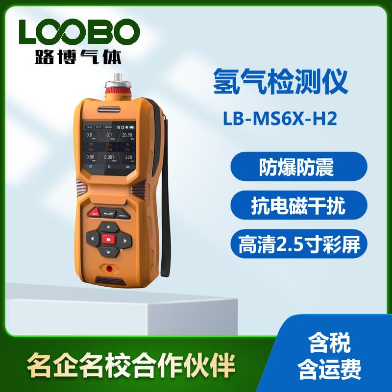Portable Hydrogen Detector Pump-Suction Hydrogen Concentration Monitor Handheld Hydrogen Gas Sensor