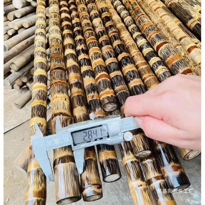 Commercial teaching sticks, walking sticks, polished cannons, mountaineering solid bamboo sticks, golden bamboo sticks, dragon blood golden bamboo sticks, teaching and craft sticks