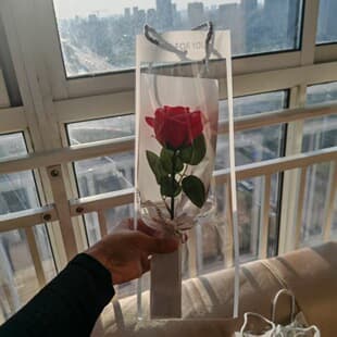 Qixi Concert Same Style Rose Bouquet Transparent Tote Bag Teacher's Day Student Gift for Teacher Small Gift Ready-Made