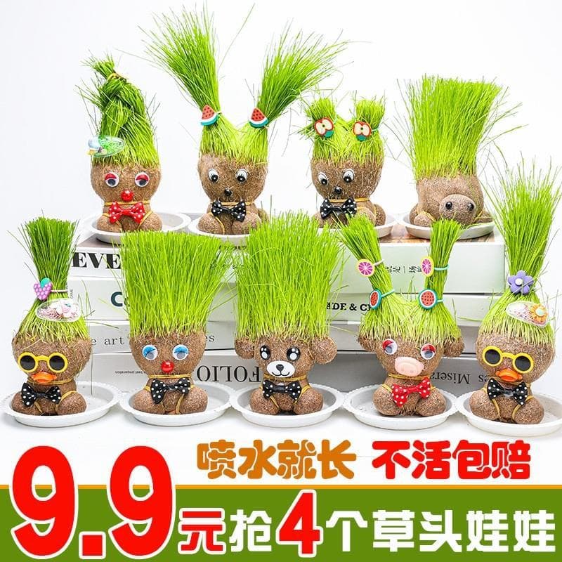 Grass Head Doll Growing Grass on Head Children's Planting Mini Potted Plant Green Plant Observation Plant Kindergarten Growth