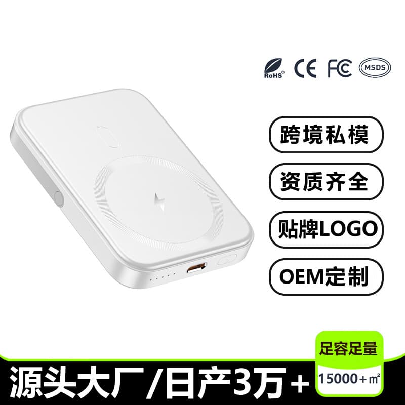 Custom Logo Power Bank Fast Charging Large Capacity Mobile Power Supply Compatible with Apple Huawei Vivo Amazon TikTok Hot Model