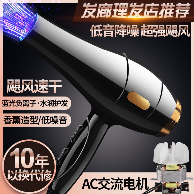 New Export Hair Dryer High Power High Wind Hair Salon Constant Temperature Hair Dryer Home Hair Dryer