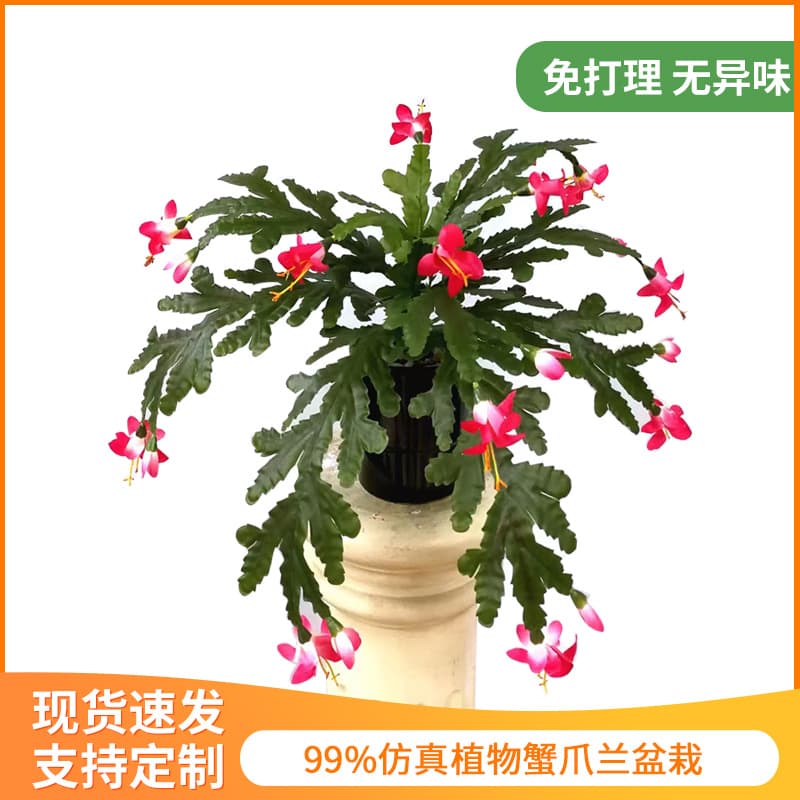 Artificial Plant Bonsai Crab Claw Orchid Indoor Home Decoration Landscape Ornament Artificial Orchid Plastic Fake Flower Green Plant