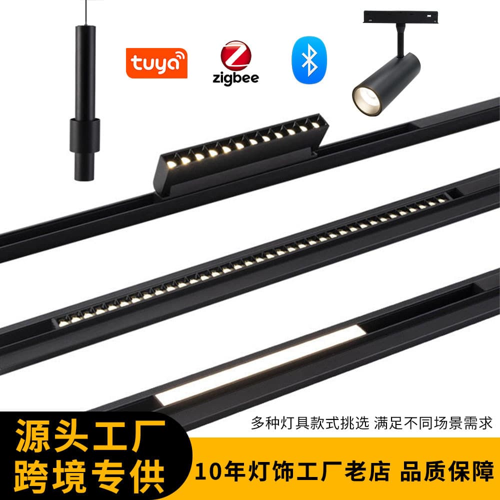 48V Low Voltage Smart Tuya Zigbee Magnetic Track Light Fixture Recessed Surface Mounted Track LED No Main Light