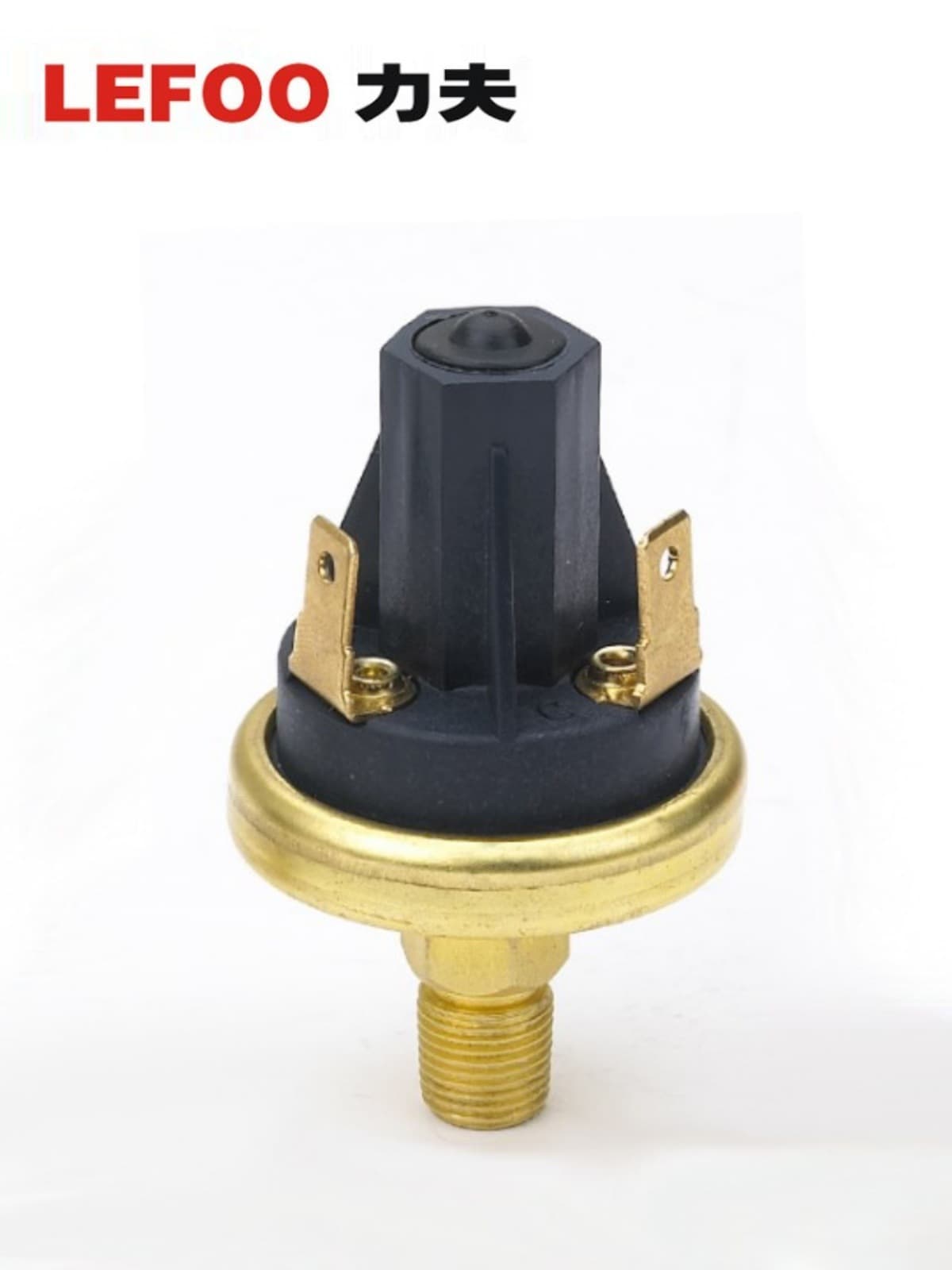 LF20 Diaphragm Pressure Switch 12V Water Pressure Oil Pressure Air Pressure High Low Protection Switch Pressure Controller