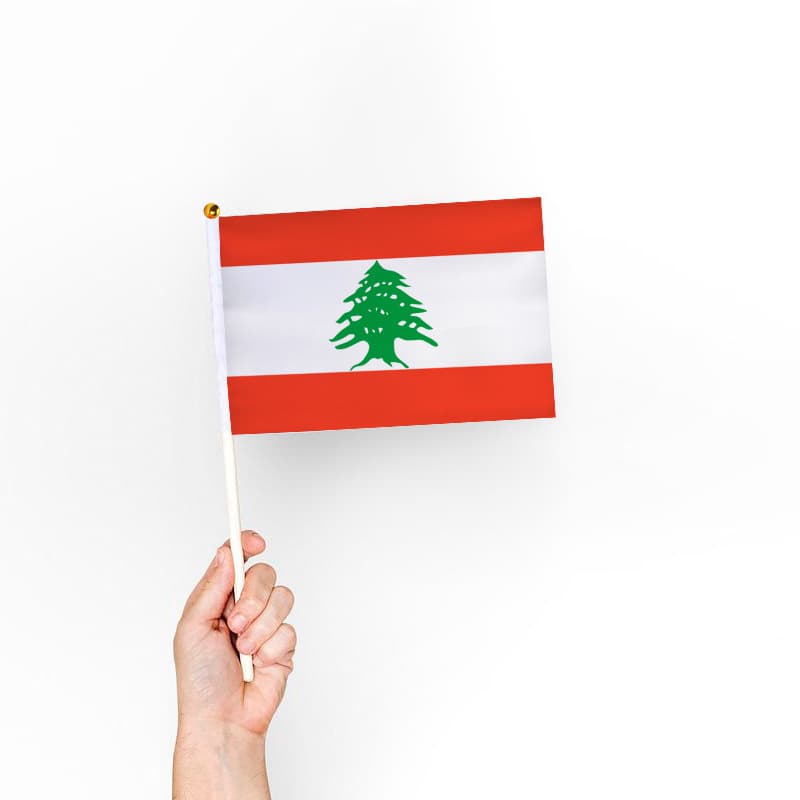 Amazon source Lebanon hand waved flag No. 8 flag 14*21cm hand waved flag with flagpole