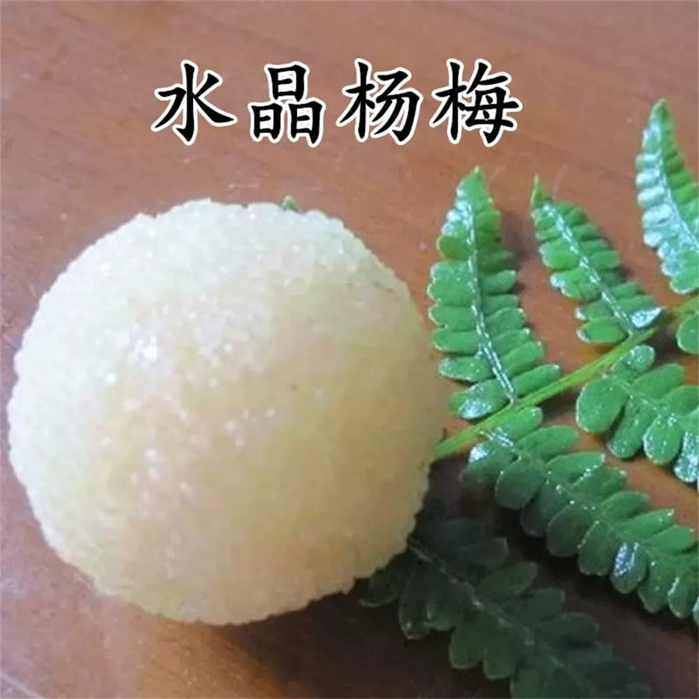 Wholesale Bayberry Tree Seedlings, Large-Fruited White Bayberry - Crystal Bayberry Seedlings (White Sand Bayberry) Fruit Tree Saplings, Current Year