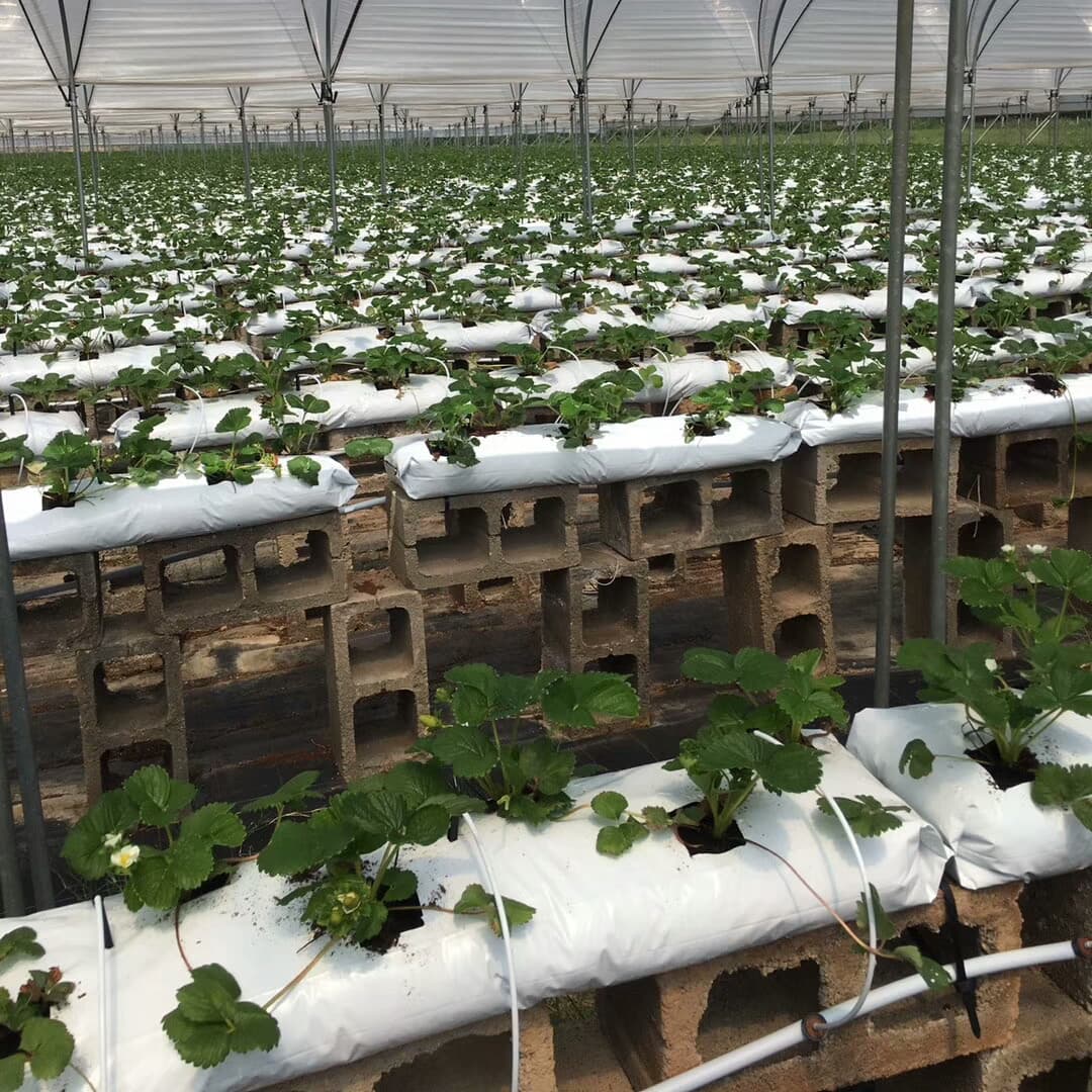 Agricultural Greenhouse Rectangular PE Grow Bags, PE Vegetable Plant Seedling Growth Bags, Thickened Plant Bags
