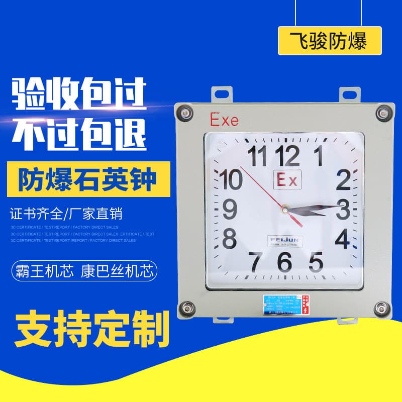 Flammable and Explosive Special Explosion-Proof Quartz Clock Wall Clock Industrial Clock Durable Silent Clock Explosion-Proof