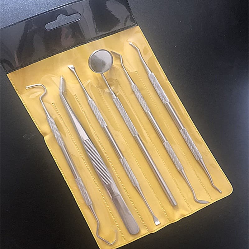Dental Tool Kit 6-Piece Set Dentist Assistant Tools Including Tweezers, Mouth Mirror, Probe