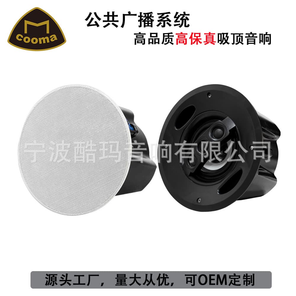 COOMA 100W Home Theater Background Music Amplifier, High-Fidelity Stereo Ceiling Speaker