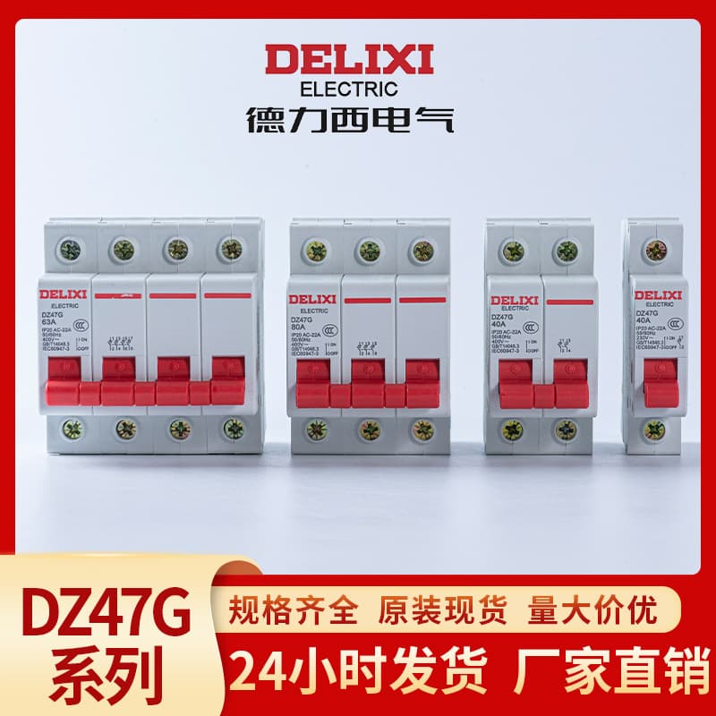 Delixi Electric 3P Circuit Breaker 2P Main Switch 125A 100A 63A 40A Switch DZ47G Miniature Disconnect Switch
