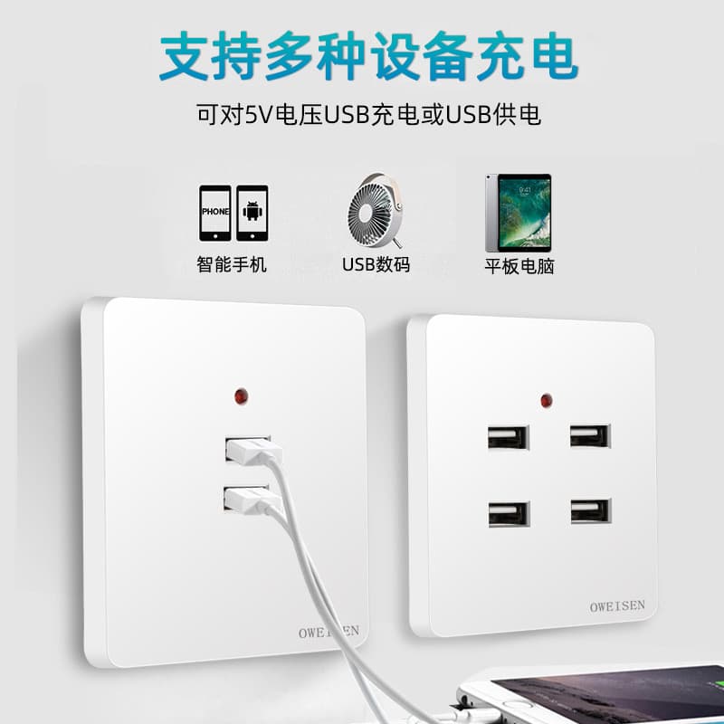 Surface Mount/Flush Mount Two-Hole Four-Hole USB 86-Type USB Charging Socket Panel Household 220V Workshed 236V to 5V