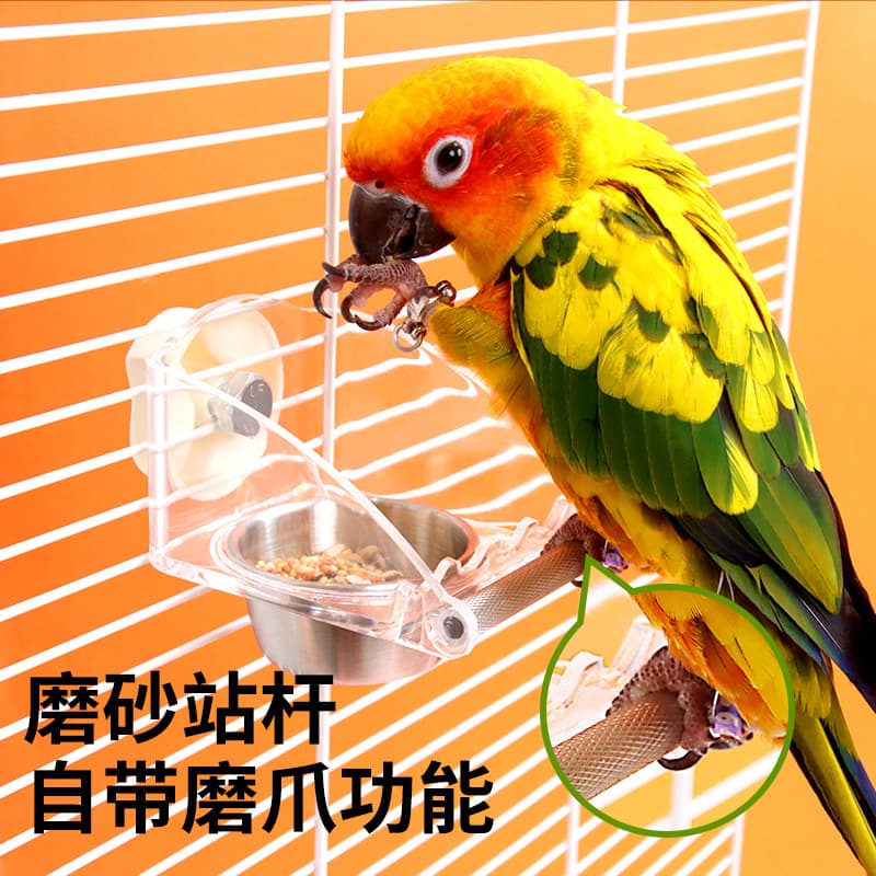 Parrot anti-splash food box hanging anti-sprinkler feeder black phoenix peony tiger skin stand bird supplies feed feeding basin