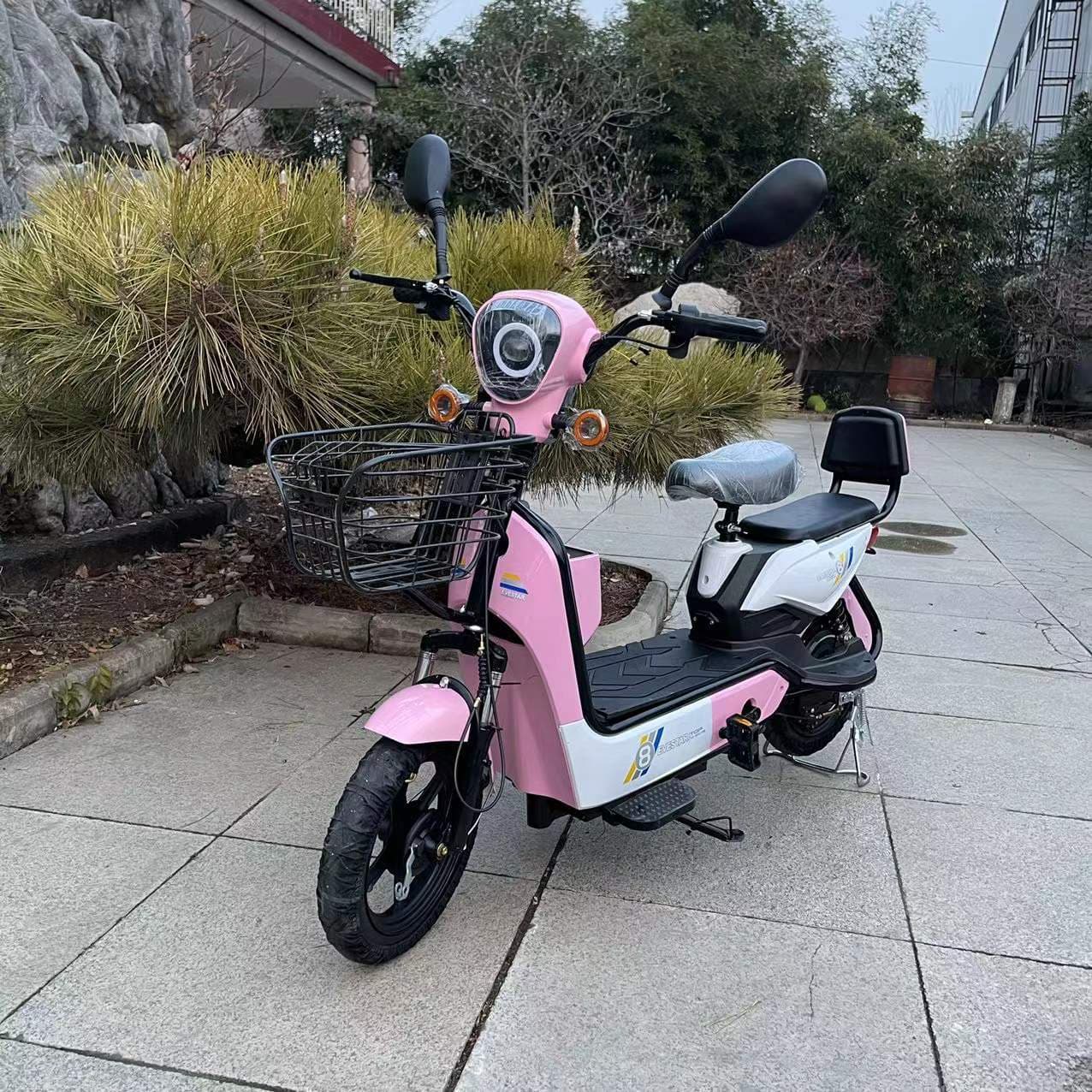 Electric Vehicle 48V Battery-Powered Two-Wheeler, Two-Seater Golden Eagle Color Combination Electric Bicycle, Two-Wheeled Electric Bike