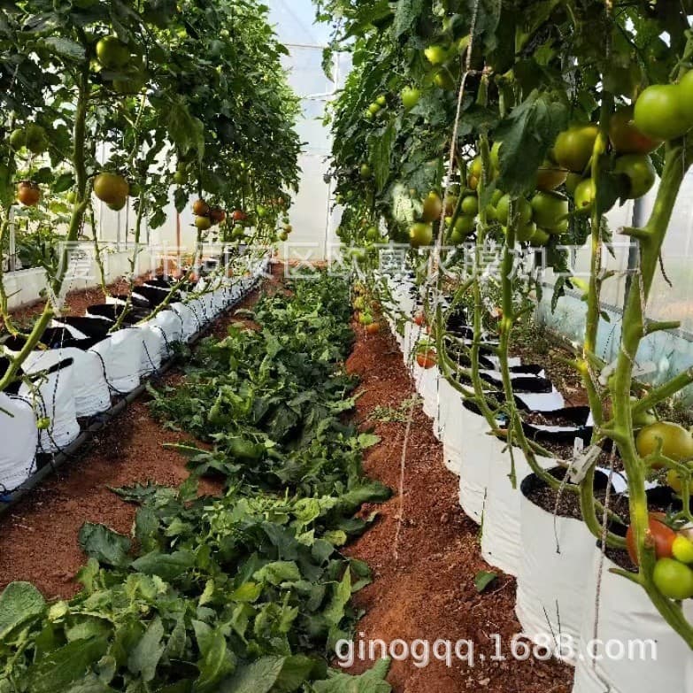 Black and white plastic film planting bags for planting bases; soilless cultivation substrate planting bags for agricultural greenhouses.
