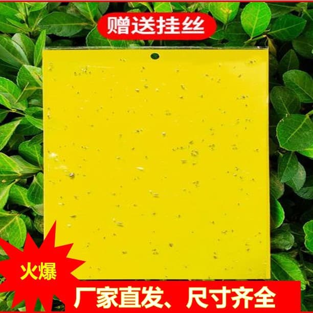 Double-sided sticky insect traps, two-color insect attractant boards, yellow boards for greenhouses, blue sticky insect traps for horticulture, fruit tree insect control boards, cross-border trade.