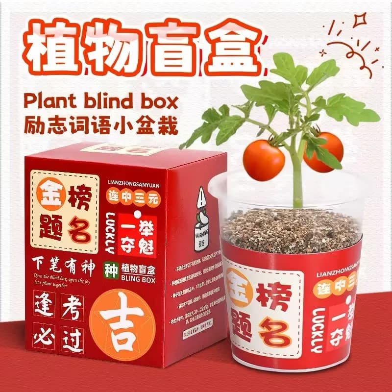 Children's Day Gift Plant Blind Box Desktop Small Potted Plants Creative Holiday Children's Green Plant Seed Blind Box Potted Plants Wholesale