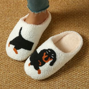 Women's Indoor Cotton Slippers Cartoon Dachshund Thickened Autumn Winter Warm Home Leisure Fuzzy Shoes