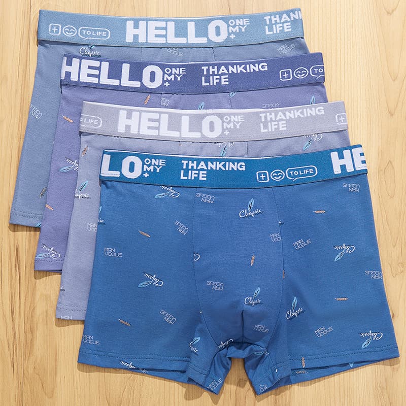 Hot Selling High-End 4-Pack Men's Underwear Boxer Briefs Mid-Rise Youth Boxer Shorts Antibacterial Personality Men's Underwear Trendy