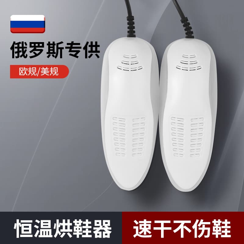 Shoe Dryer and Warmer with Deodorizing Function, Household Timer Dryer for Shoes, Compatible with 110V/220V