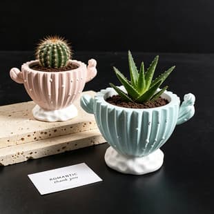 New Cross-border Cactus Vase Plaster Mold Hydroponic Green Plant Succulent Cactus Flower Pot Decoration Silicone Mold