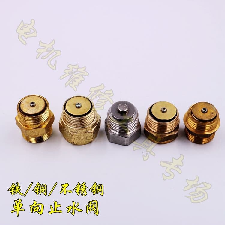 1 Inch Water Pump Check Valve Brass Self-Priming Pump One-Way Valve Stainless Steel Water Stop Valve Self-Priming Pump Accessories