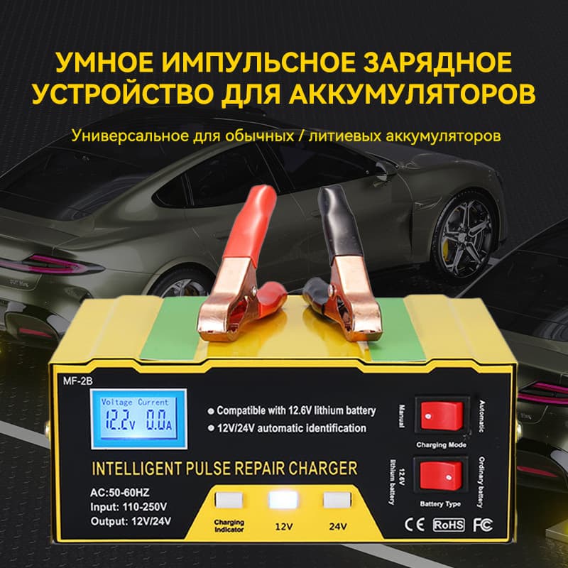 Russian smart pulse charger 12V24V battery charger lead-acid lithium battery charger manufacturer