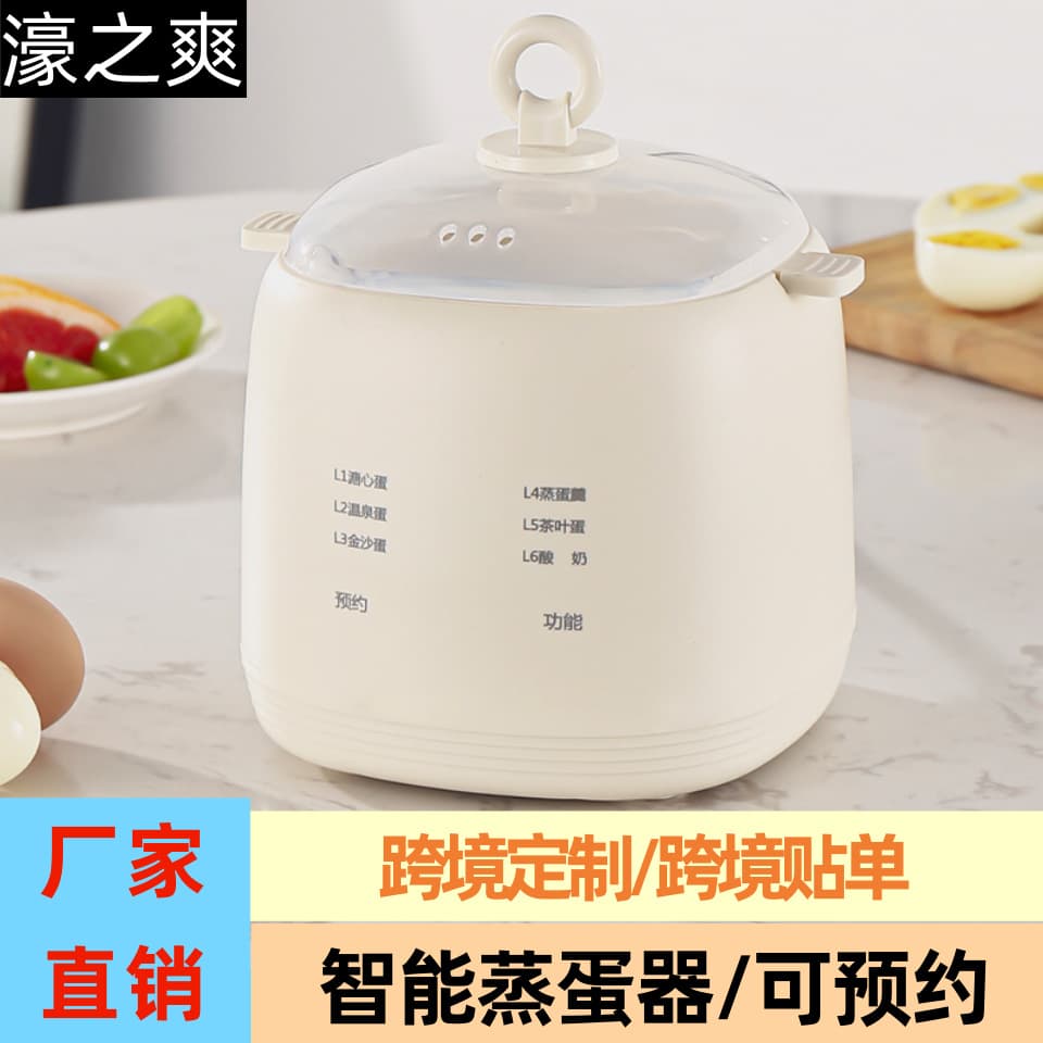 Multi-functional Egg Cooker Breakfast Machine Dry Burn Protection Presettable Auto Shut-off Household Dorm Small Egg Steamer Gift