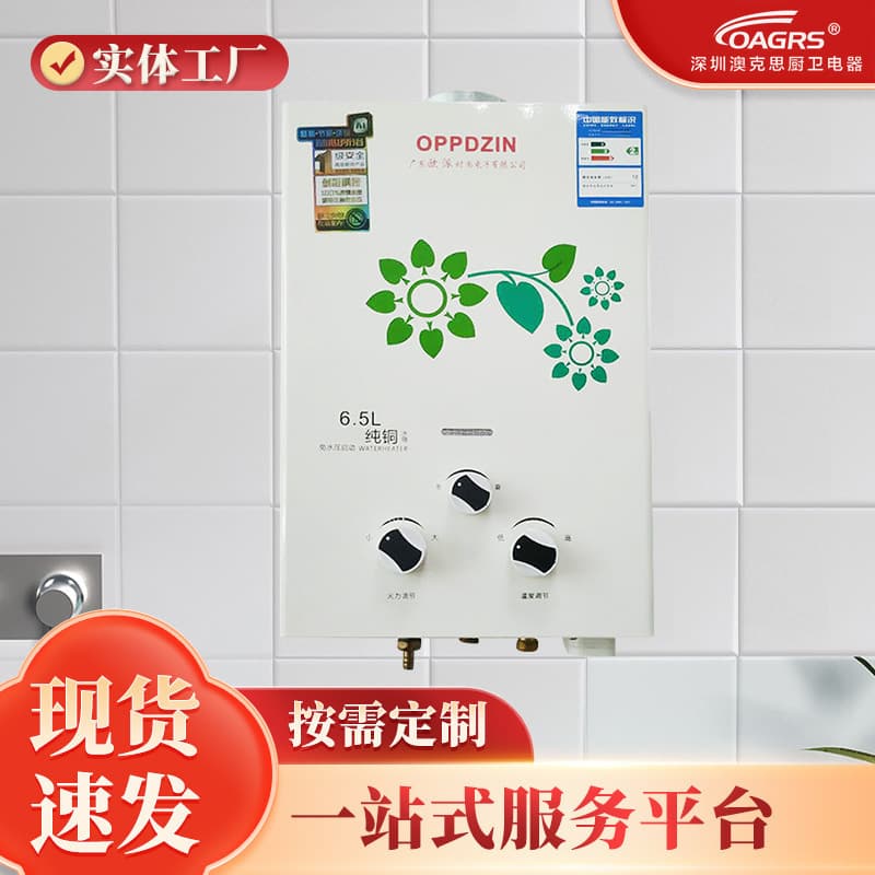 Factory Wholesale Forced Exhaust Gas Water Heater Bathroom Smart Thermostatic Machine Home Direct Exhaust 6.5L Gas Water Heater